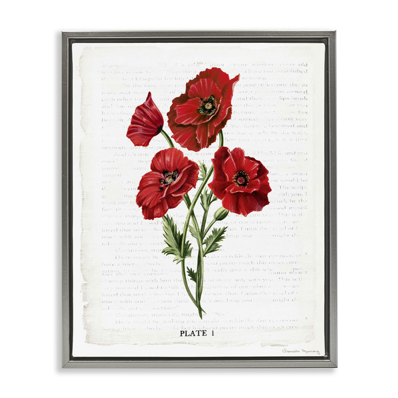 «Red Poppy Study Floater», art mural par Danielle Murray, Cadre flottant gris lustré, H 21 po x l 17 po