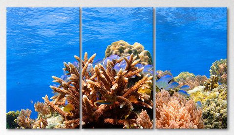 3 Piece Wrapped Canvas Print