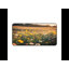 Polyester Desk Pad-1844547101