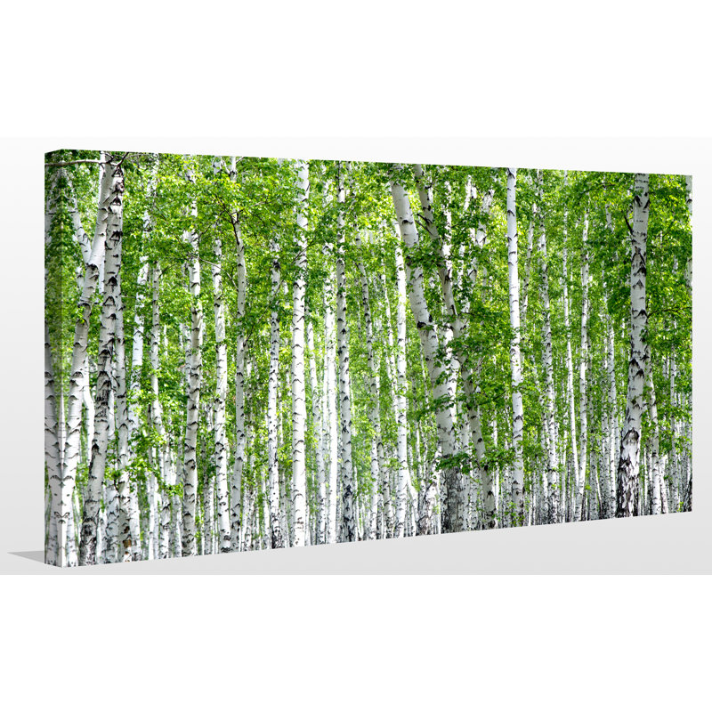 " Birch Trees III ", 36" H x 60" W x 1.5" D