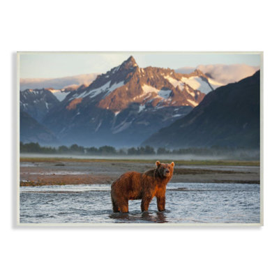 «Grizzly Bear permanent in Salmon Stream» par Paul Souders, reproduction de photo