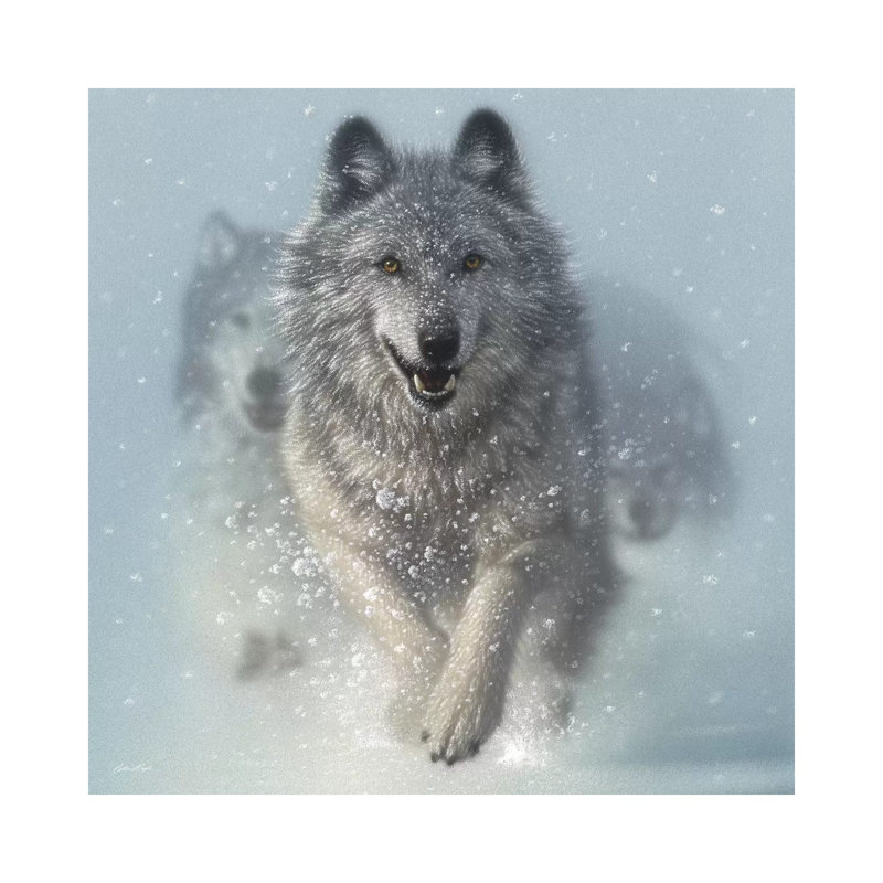 Chasse-neige - loups de course, carré, H 48 po x l 48 po x P 1,5 po, Toile tendue, Pas de tapis