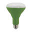 9 Watt Green LED Bulb