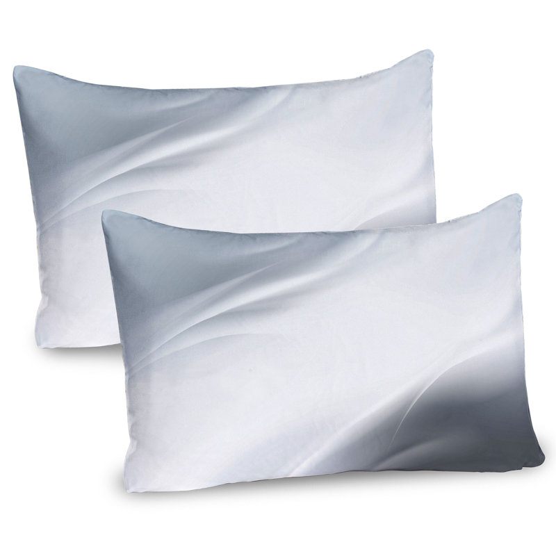 Ensemble de 2 taies décoratives gris Ambesonne, H 20 po x l 30 po