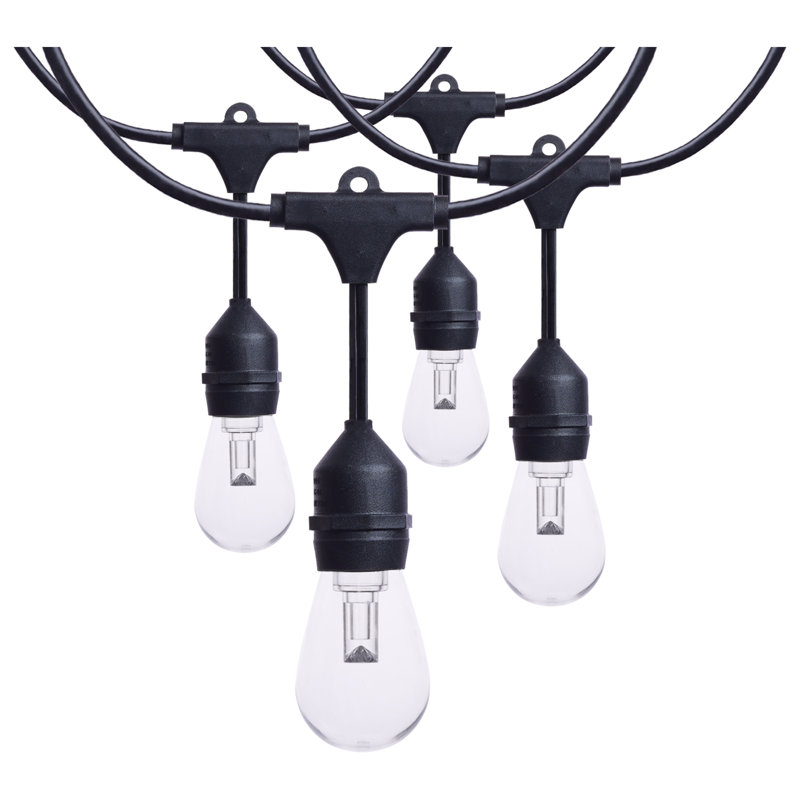 Guirlande de 48 lumières à DEL de 15 pieds à culot moyen 15 lumières à culot moyen RVBTW 120 V - noir