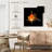 Crowle Telescope Eye Goldfish