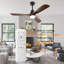 Binisha Ceiling Fan with LED Lights