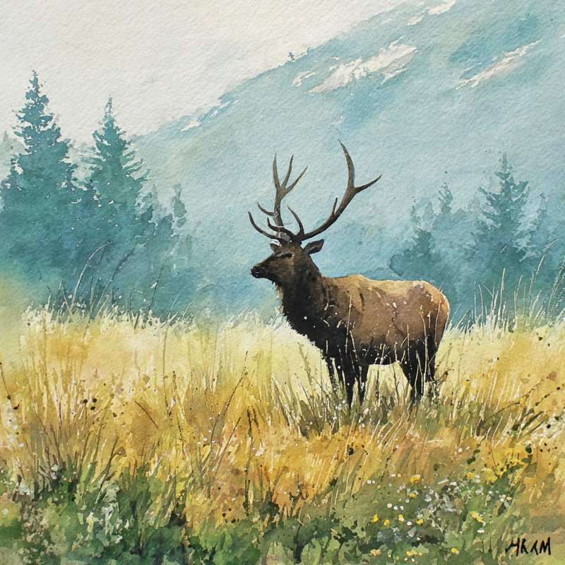 «Mountain Elk at Dawn», art mural sur toile tendue, H 30 po x l 30 po