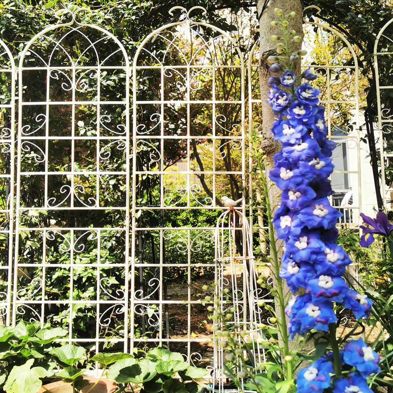 Treillis de jardin en métal 86,7 po x 19,7 po, paquet de 2, rouille blanc crème, pour plantes grimpantes, raisin, haricots, lierre à installation simple, pois