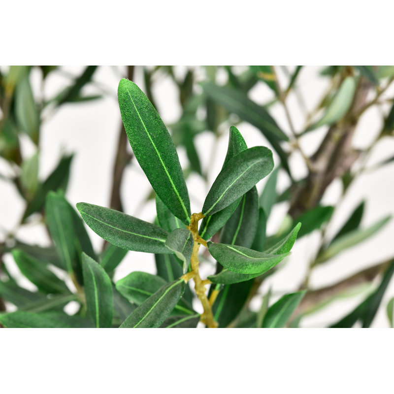 Artificial Olive Tree in White Decor Pot, 78.75" H x 41.25" W x 39.5" D