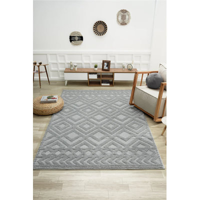 Stylish Grey Area Rug, 3.3 x 4.9 Feet | 100% Polypropylene, 1.7 cm Pile Height | Machine Woven, Non-Slip Dot Underside, Antibacterial | Ideal for Living Room, Bedroom & Office, Easy to Maintain & Clean