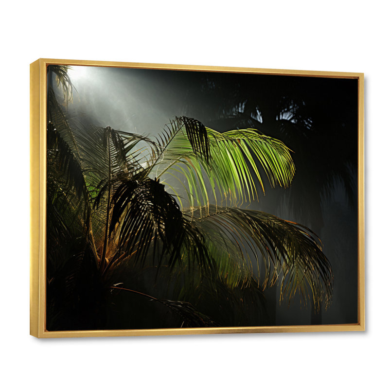 «Palm Trees Palm II», reproduction sur toile, Cadre flottant doré, H 16 po x l 32 po x P 1 po