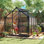 Serre de jardin en polycarbonate en aluminium 6 pi x 8 pi x 6,6 pi