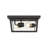 Outdoor Flush Mount
