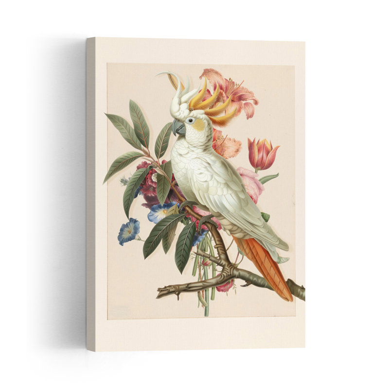 Cacatoès à crête en fleurs - Illustration vintage colorée d'un oiseau tropical - Estampe murale, 18" H x 12" W