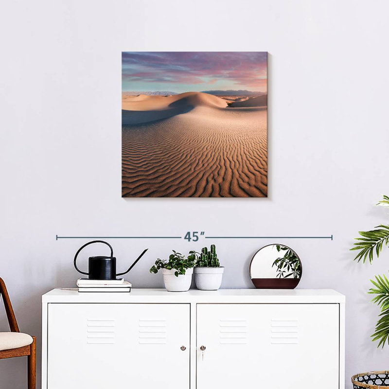Alvord Mesquite Flat Dunes, H 24 po x l 24 po