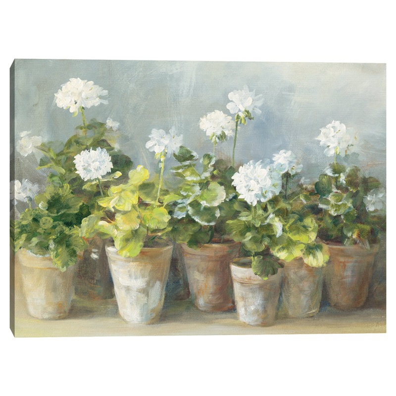 " White Geraniums "