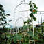 Cream White Rustproof Garden Trellis 86.7" X 19.7" Metal, 4 Pack For Climbing Plants Outdoor Flower Support, Galvanized Round Pipe Metal White,
