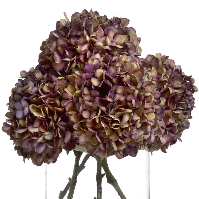 Hydrangea Arrangement