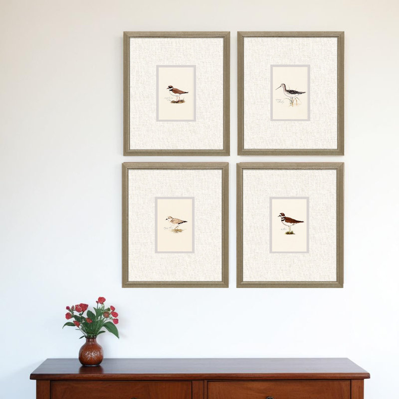 Ensemble de quatre oiseaux de rivage, impression encadrée dorée