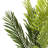 Artificial Palm Tree In Pot-855232498