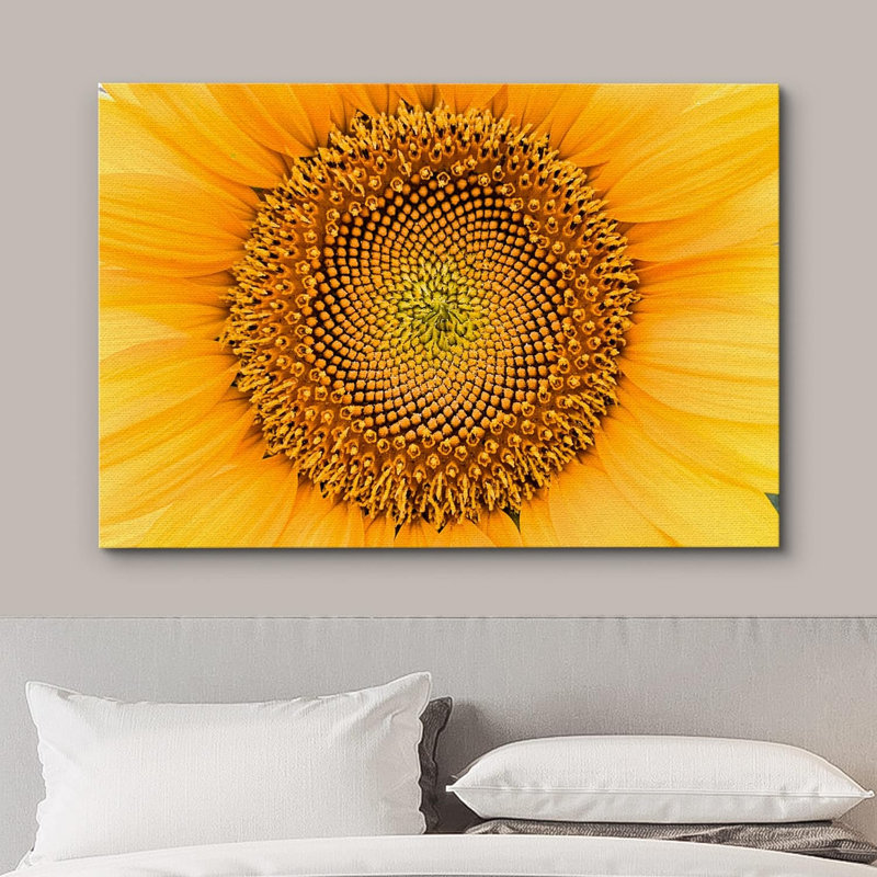 Tournesol "Gros plan détail tournesol d'été" sur, H 24 po x l 36 po