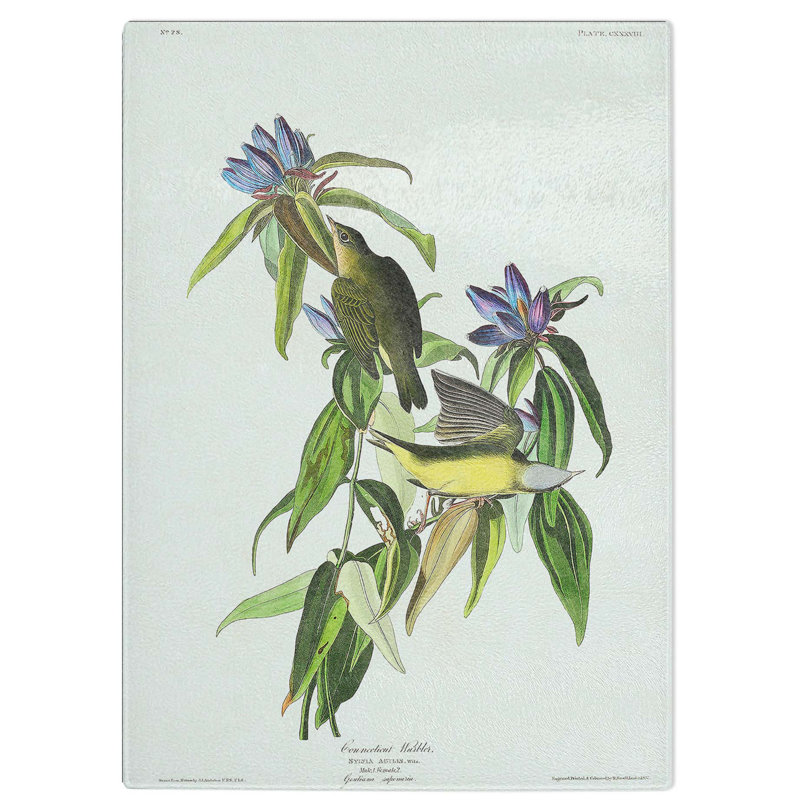 Tempered Glass Connecticut Warbler Birds Chopping Board, 20 cm W x 28.5 cm L