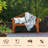 Daphie Solid Wood Eucalyptus Outdoor Bench