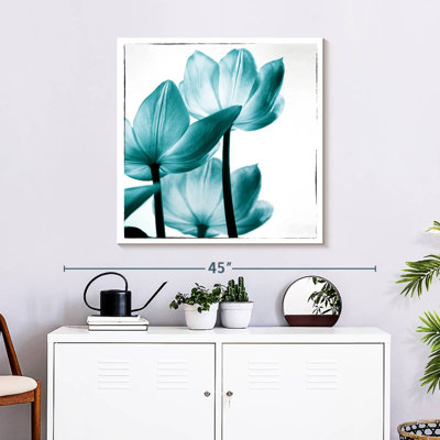 Tulipes Harnek translucides II
