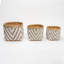 Bamboo General Basket Set