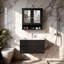 Bathroom Wall Cabinet With 2 Mirror Doors And 1 Shelf-123104350