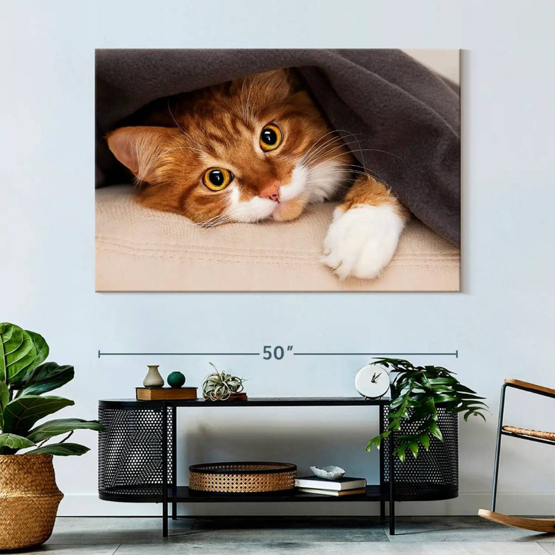 Crowle Cozy Cat, H 34 po x l 51 po