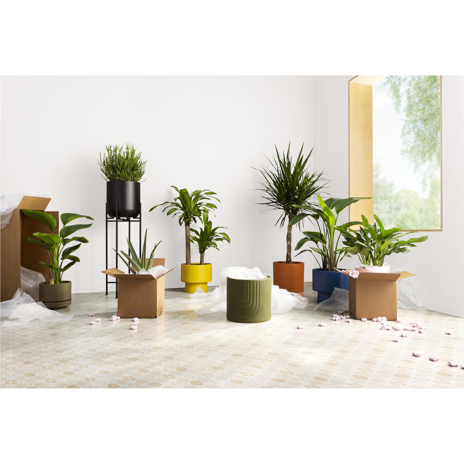 Byer 10" Ceramic Pot Planter, 9.25" H x 10.25" W x 10.25" D, Olive