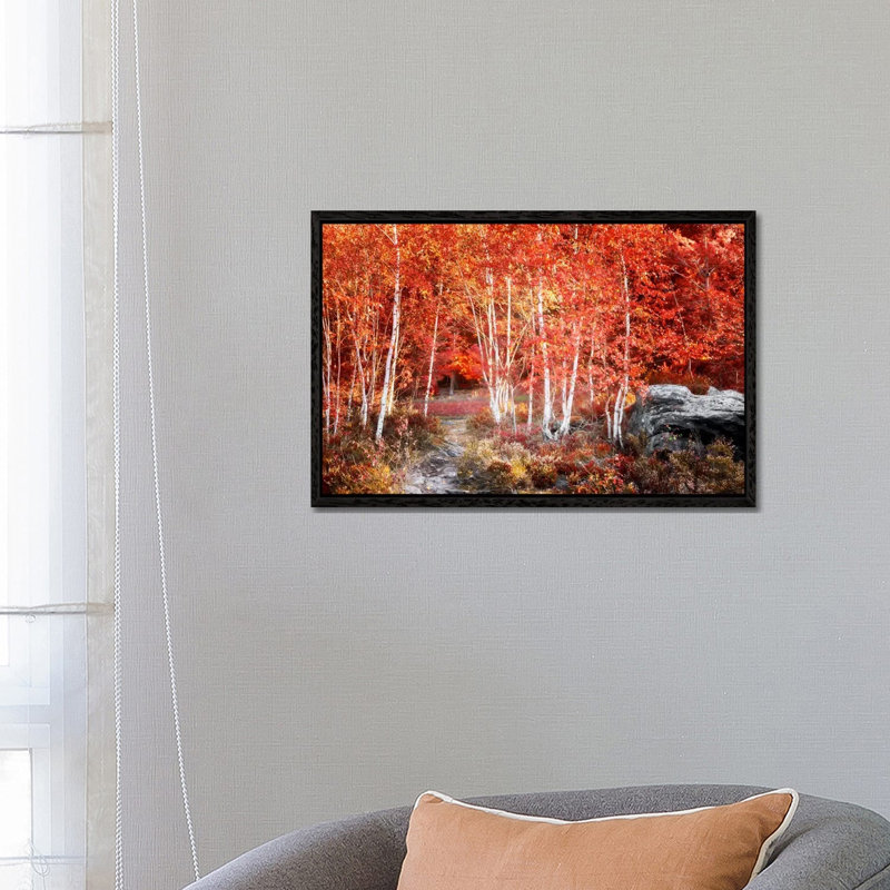 Birches Garden by Philippe Sainte-Laudy - Print on Canvas, 66.04 cm H x 45.72 cm W, Black Framed