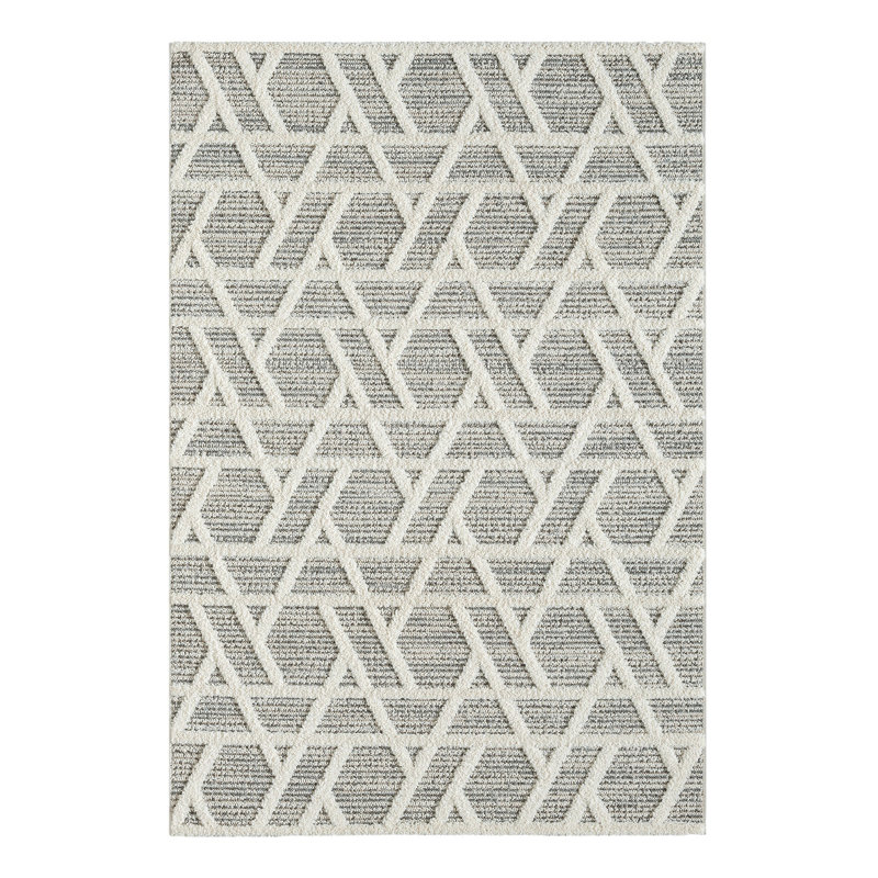 Phin Clear Area Rug, Rectangle 120 x 200cm