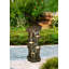 Fontaine à tronc d'arbre rustique