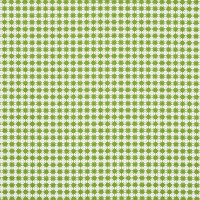 Schumacher x Studio Bon Stella Fabric