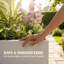 Jardinière en acier galvanisé avec treillis, jardin surélevé avec trous de drainage-130098454
