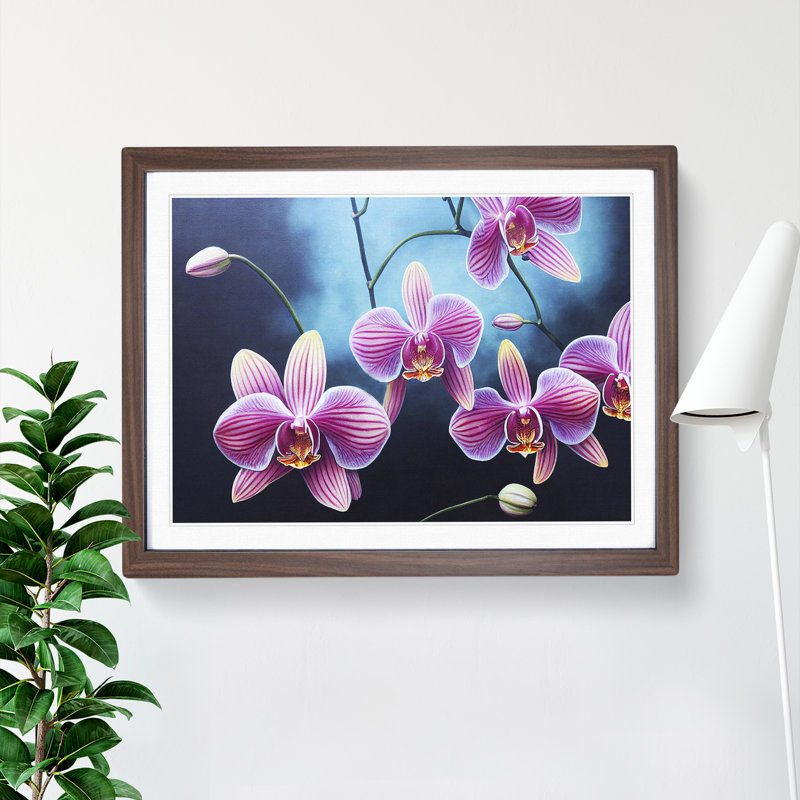 Incomparable Orchid Flowers 1 Piece Single Picture Frame Wall Art, 34cm H x 46cm W x 2cm D, Walnut