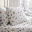 Ensemble de draps en flanelle de coton Martha Stewart-116669292-115629660