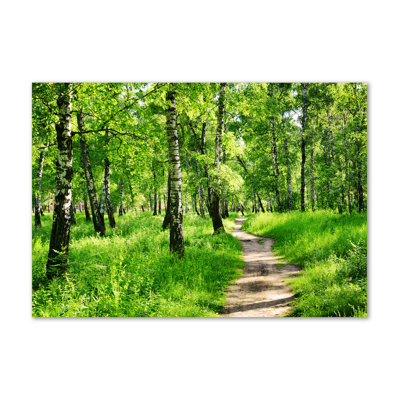 Birch Forest - Wrapped Canvas Print