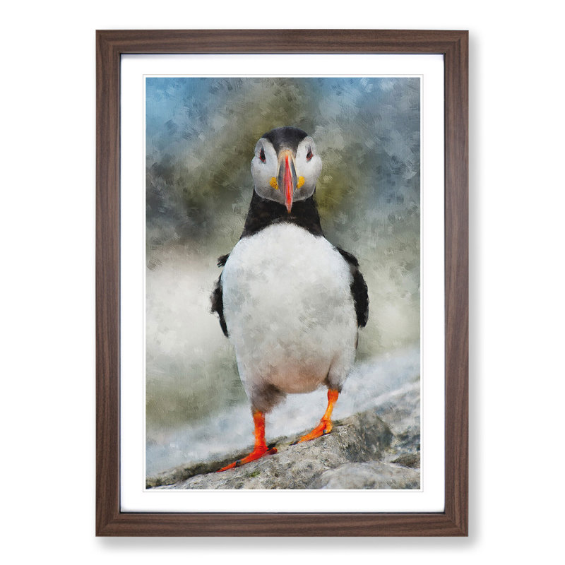 Atlantic Puffin Birds Vol.6 - Picture Frame Graphic Art, 65cm H x 48cm W x 2cm D, Walnut Framed