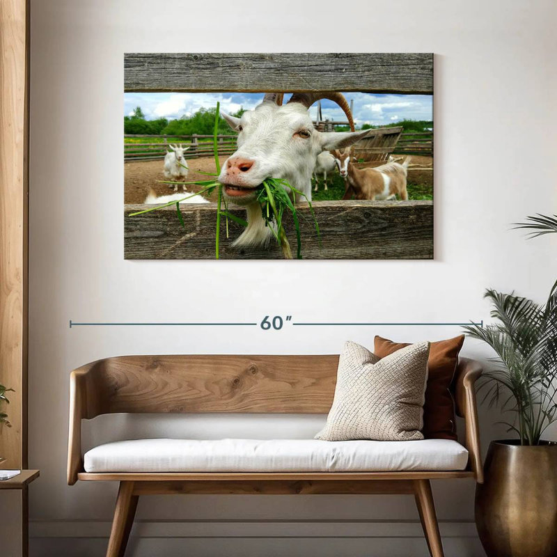 Euphoric Goat, 30" H x 45" W