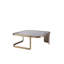 Numa Coffee Table