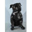 Statue bouledogue en aluminium Nifao