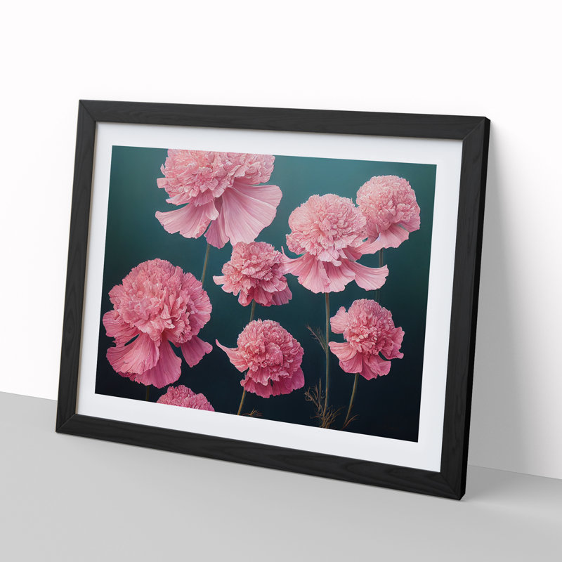 Graceful Carnation Flowers - Single Picture Frame Print, Black Framed, 25cm H x 34cm W x 2cm D