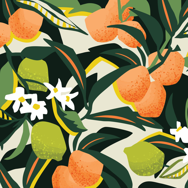 «Sweet Orange Lime» par Megan Gallagher, impression sur toile tendue, H 36 po x l 36 po x P 1,25 po