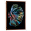 The Betta Fish by Andi Halil - Print on Canvas-1297969560-1257038030
