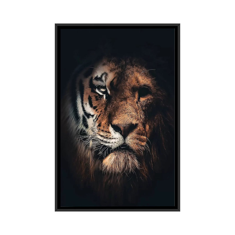 Half Tiger Half Lion by Zenja Gammer - Print on Canvas, Black Framed, 66.04 cm H x 45.72 cm W