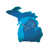 Detroit Lions